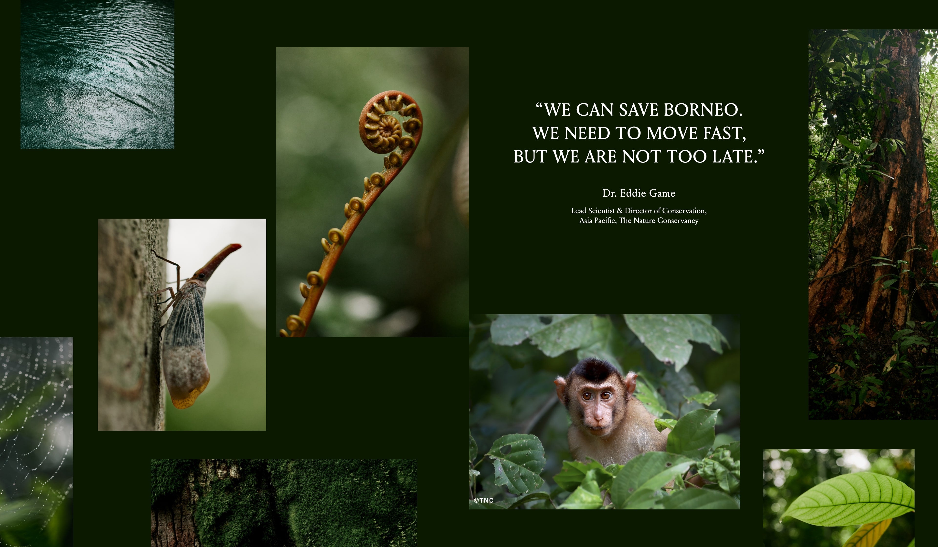 "We can save Borneo. We need to move fast, but we are not too late." Dr Eddie Game, Lead Scientist & Director of Conservation, Asia Pacific The Nature Conservancy